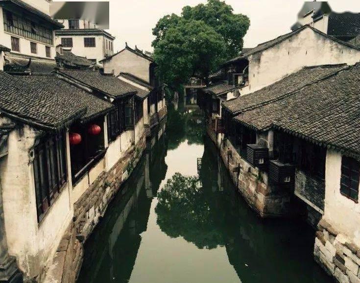 “青”暖华夏 联心聚力 | 济宁市青年美术家协会“暖冬行动”新春送温暖活动走进大北王村